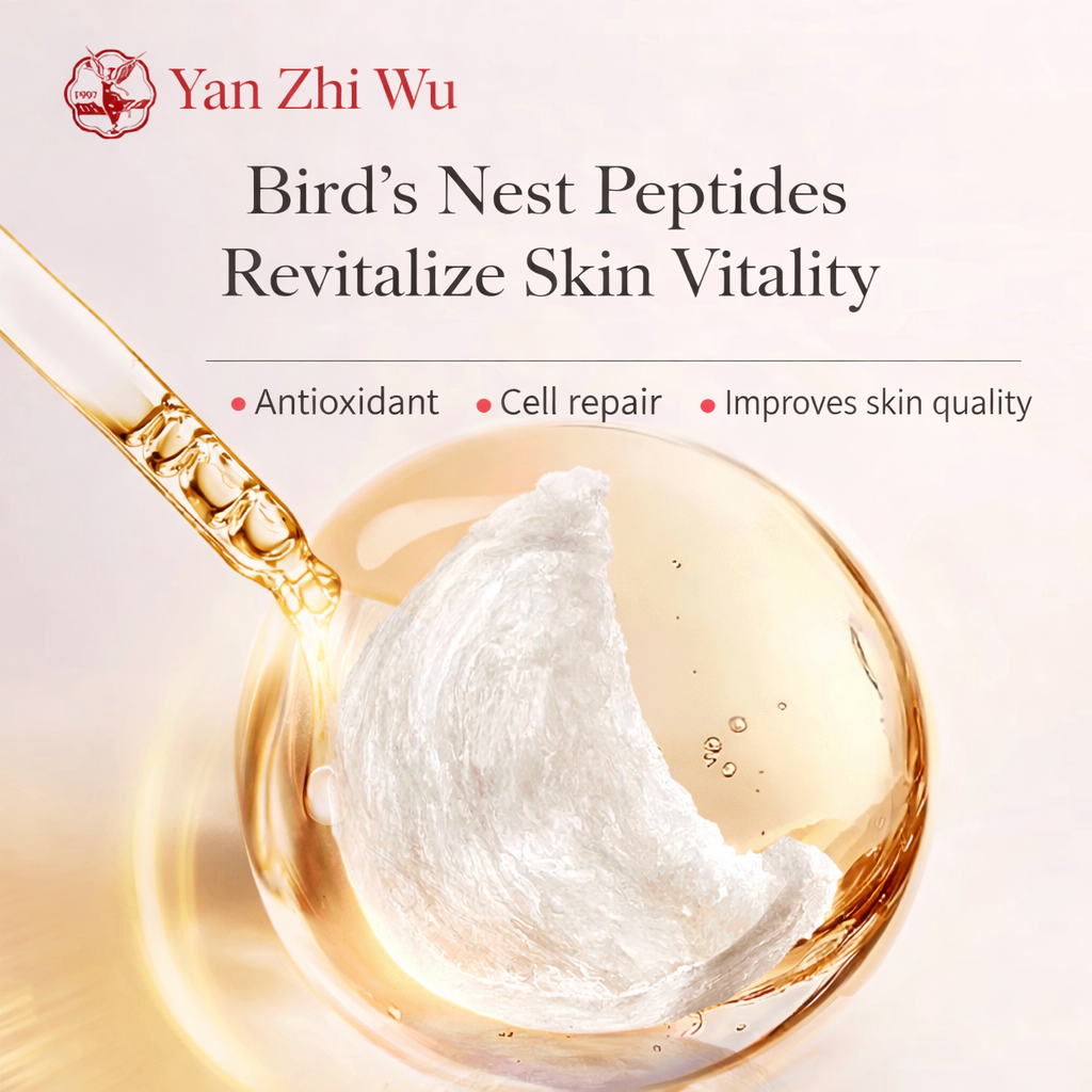 Red Ginseng and Bird Nest Drink 10ml